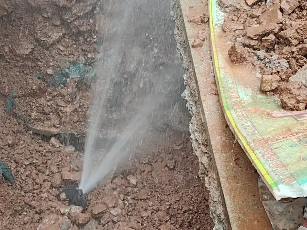 消防水管漏水检测定点开挖（临江）
